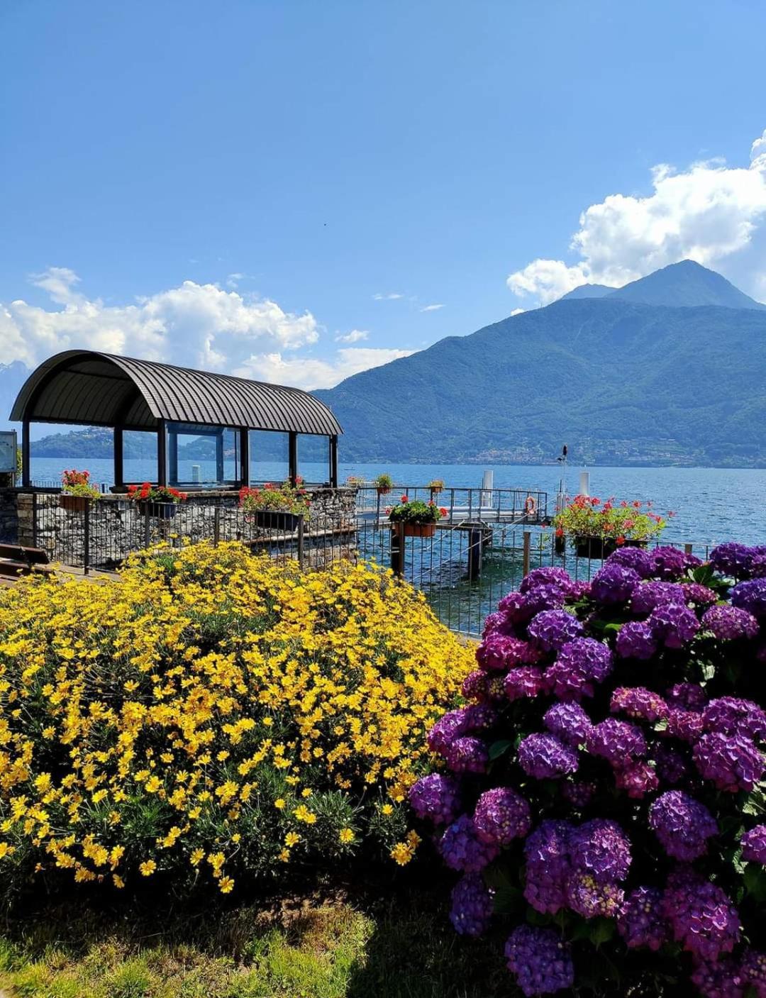 Balcony On Lake Pianello Pianello Del Lario Dış mekan fotoğraf